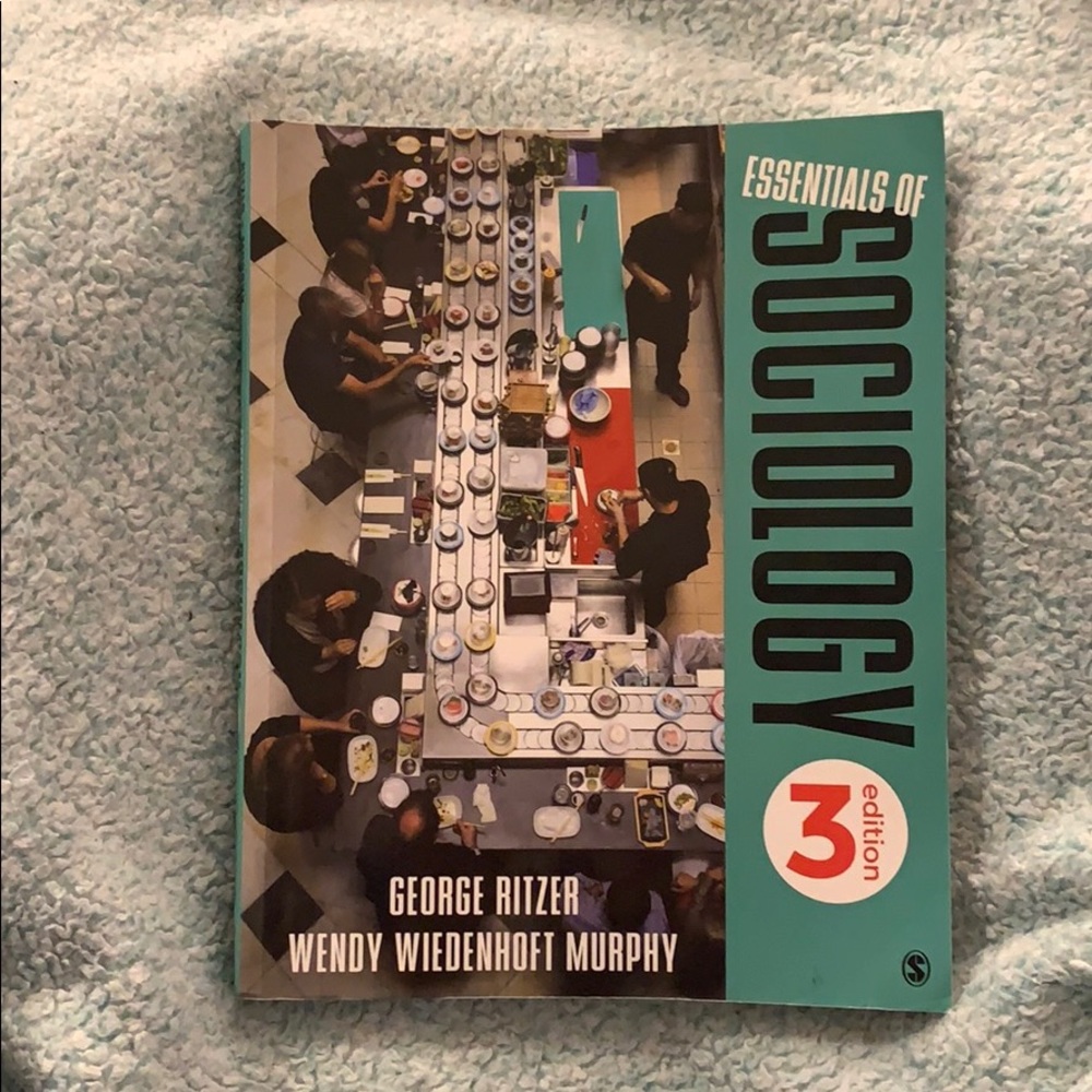 Essentials of Sociology Edition 3 by George Ritzer